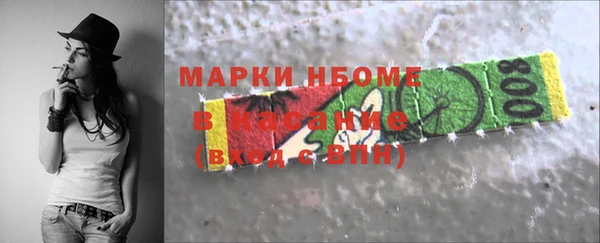 индика Михайлов