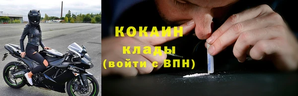 индика Михайлов