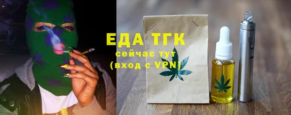 индика Михайлов