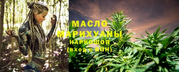 индика Михайлов