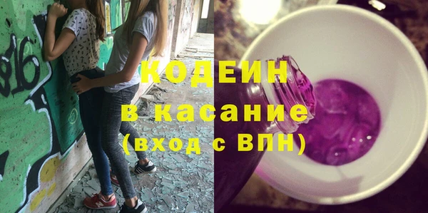 индика Михайлов
