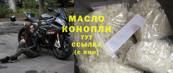 индика Михайлов