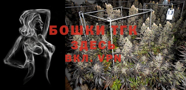 индика Михайлов