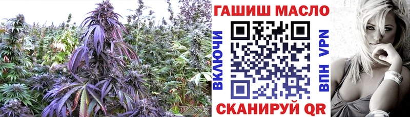 как найти наркотики  Севастополь  Дистиллят ТГК Wax 
