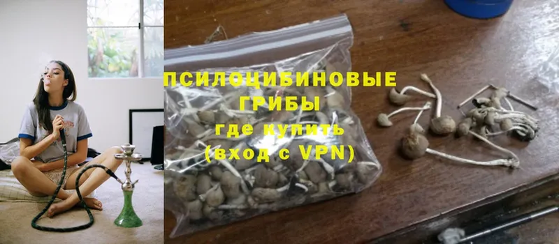 Псилоцибиновые грибы Magic Shrooms  дарнет шоп  Севастополь 