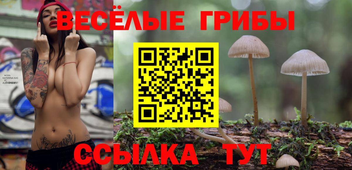 Псилоцибиновые грибы GOLDEN TEACHER Севастополь