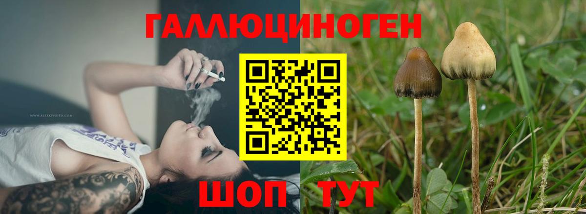 Севастополь  Галлюциногенные грибы Cubensis  Псилоцибиновые грибы прущие грибы  Вход с VPN 
