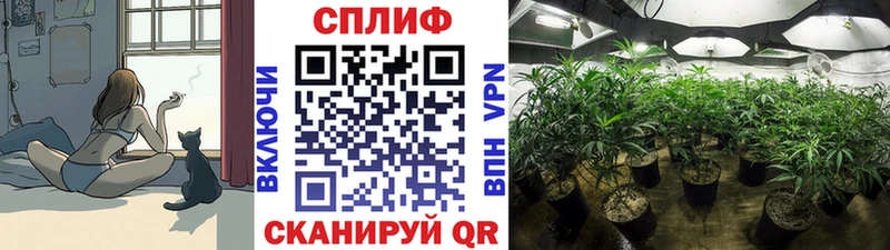наркошоп  Севастополь  Бошки марихуана марихуана 
